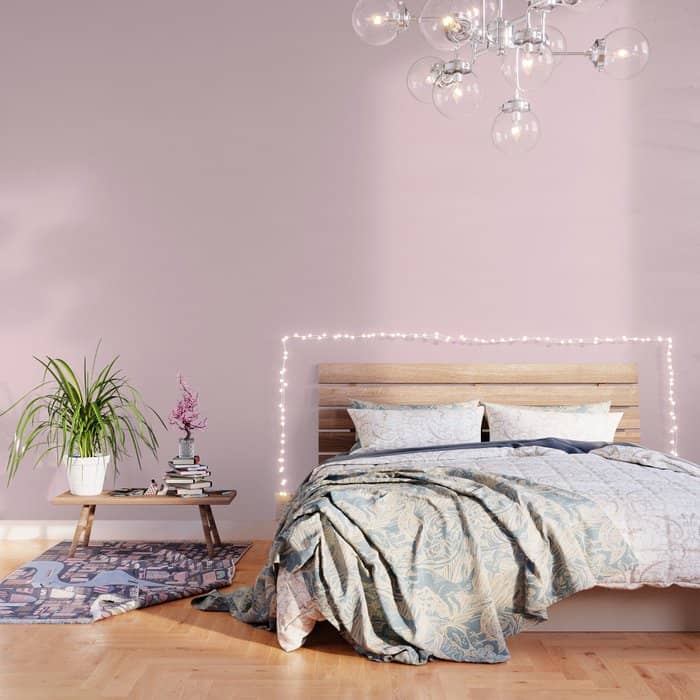 Modern Blush Pink Solid Color Background Design Wallpaper