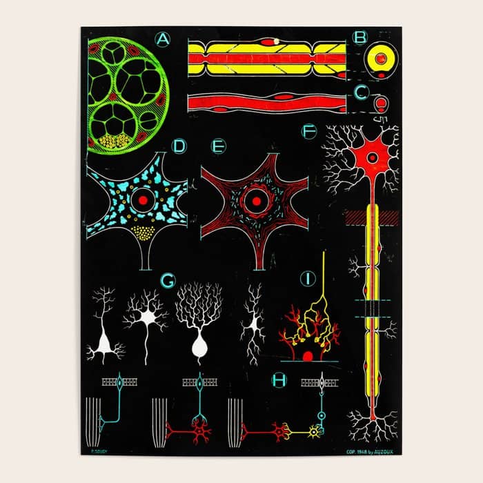 Paul Sougy: Nerves, 1950s (Proceeds Benefit The Nature Conservancy) Poster