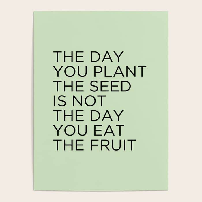 The Day You Plant The Seed Is Not The Day You Eat The Fruit Poster