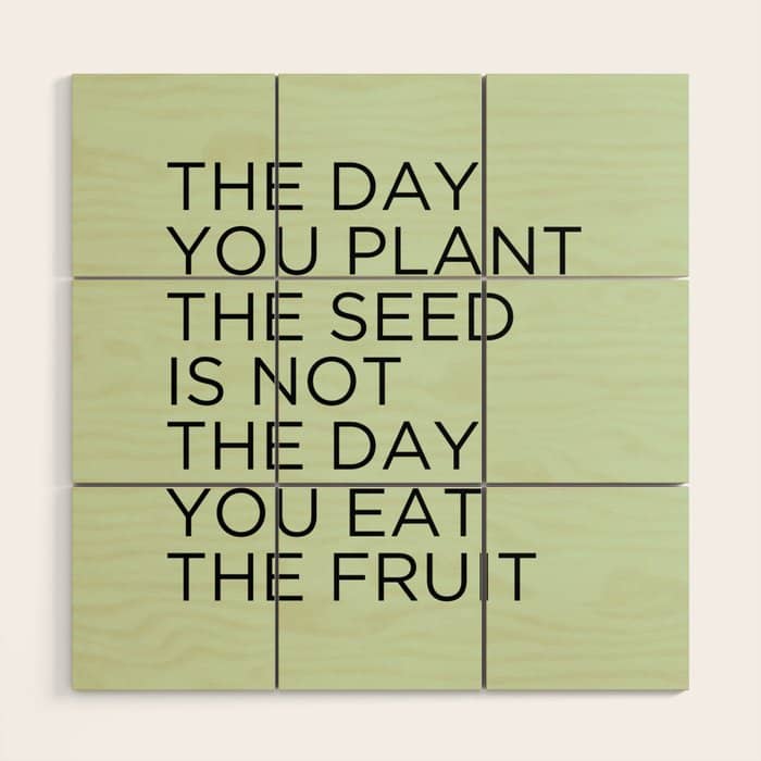 The Day You Plant The Seed Is Not The Day You Eat The Fruit Wood Wall Art