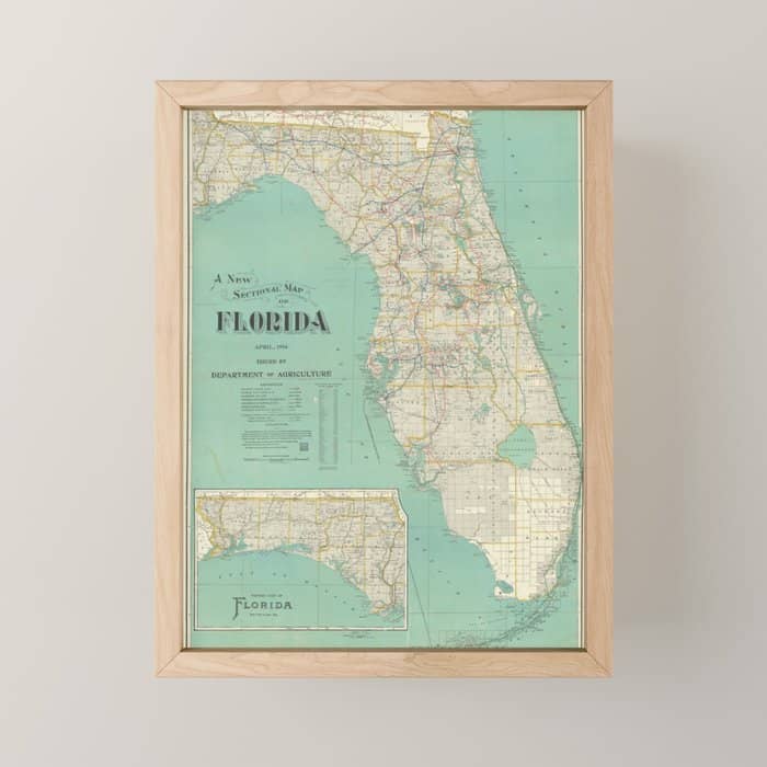 Vintage Florida Map (1916) Mini Art Print