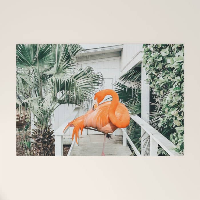 Flamingo Beach House, Wildlife Architecture Jungle Photography, Eclectic Birds Digital Art Welcome Mat