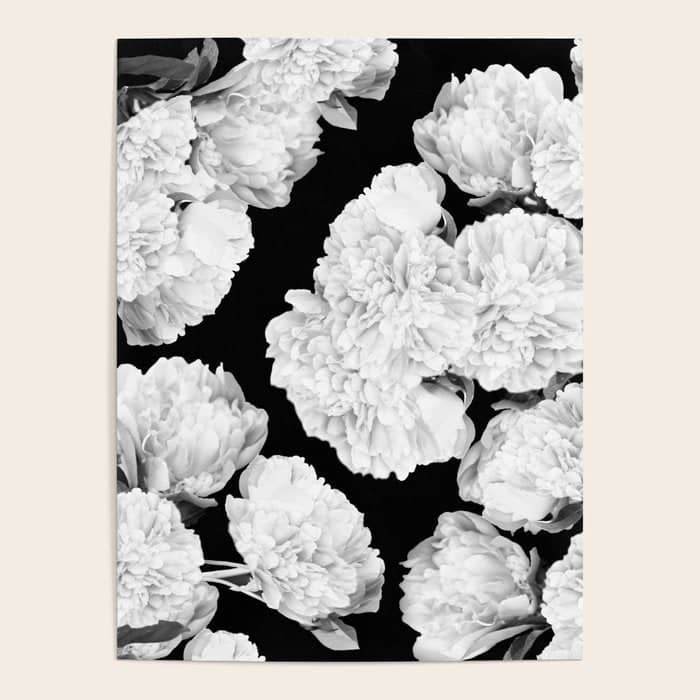 White Peony Flowers Black Background #Decor #Homestorie #Buyart Poster