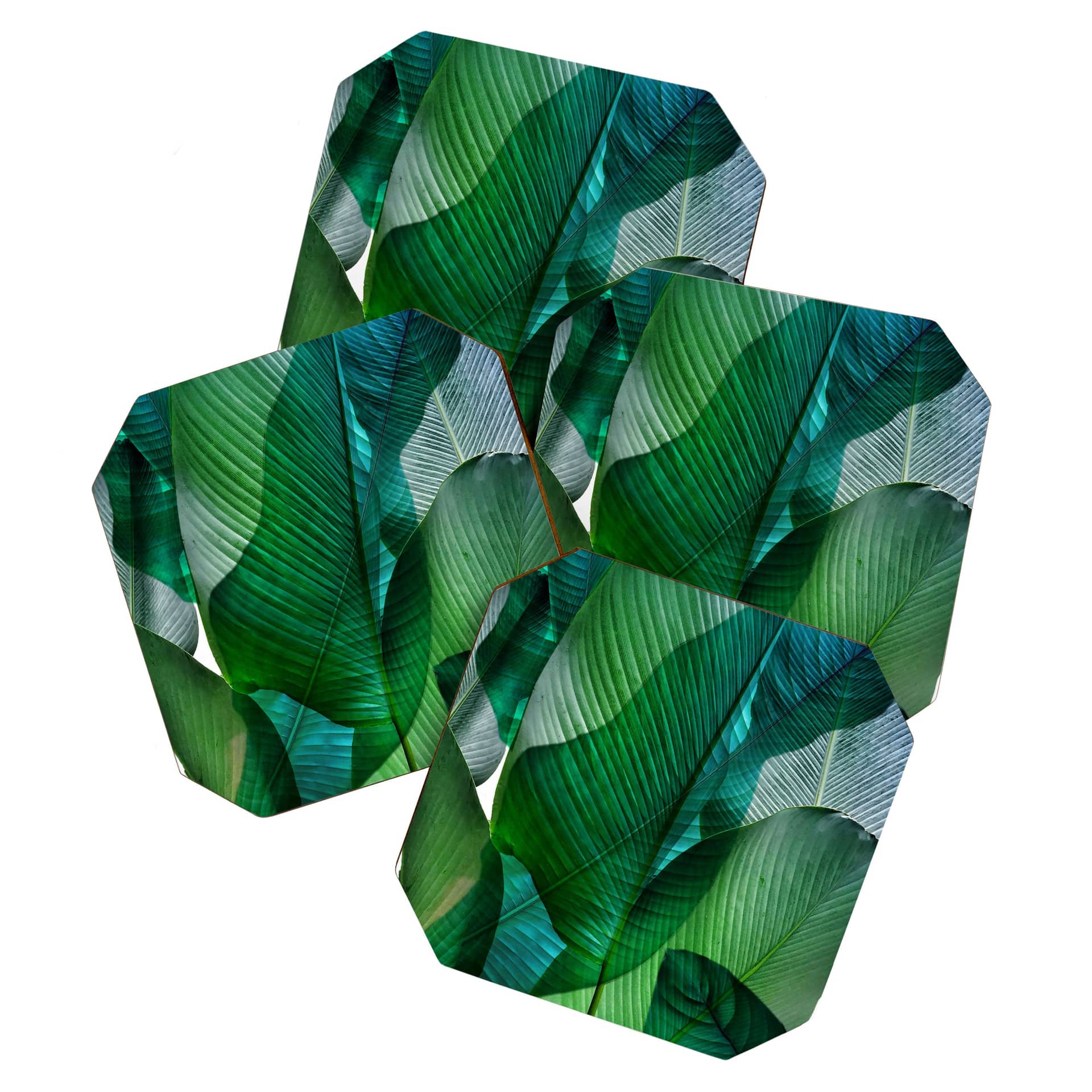 Palm Leaf Jungle Bali Banana Palm Frond Greens Coaster