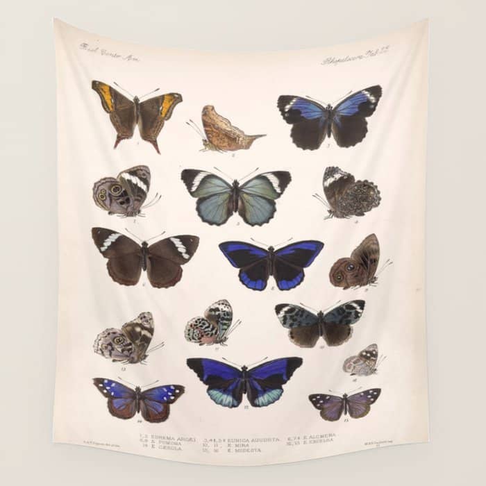Vintage Hand Drawn Scientific Illustration Insects Butterfly Anatomy Colorful Wings Wall Tapestry