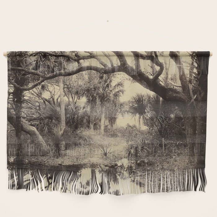 Live Oaks And Palmetto Everglades Florida 1886 - Vintage Photo By George Barker Wall Hanging