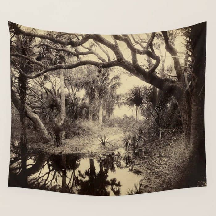 Live Oaks And Palmetto Everglades Florida 1886 - Vintage Photo By George Barker Wall Tapestry