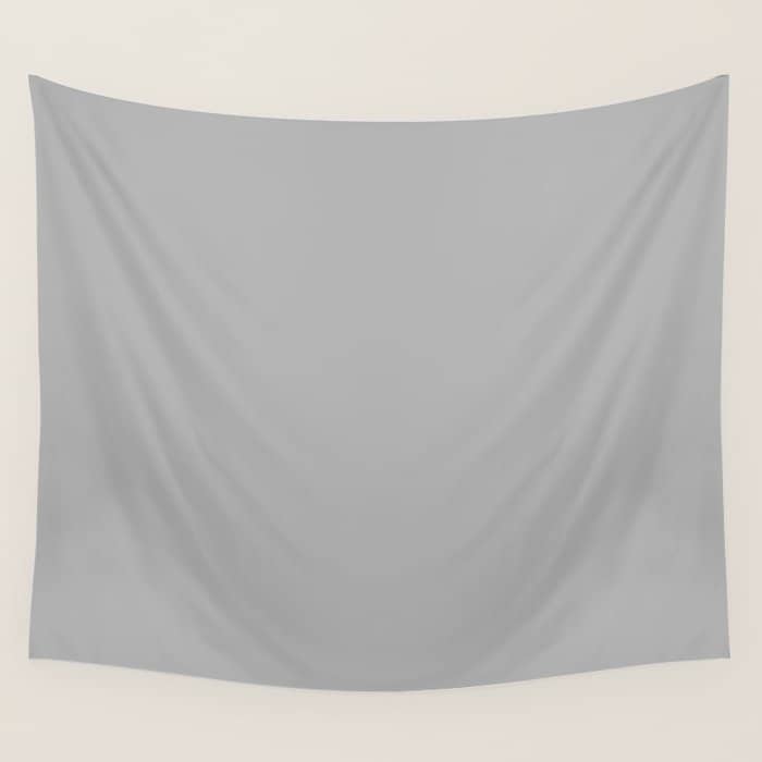 Light Gray Solid. Silver Minimalism Wall Tapestry