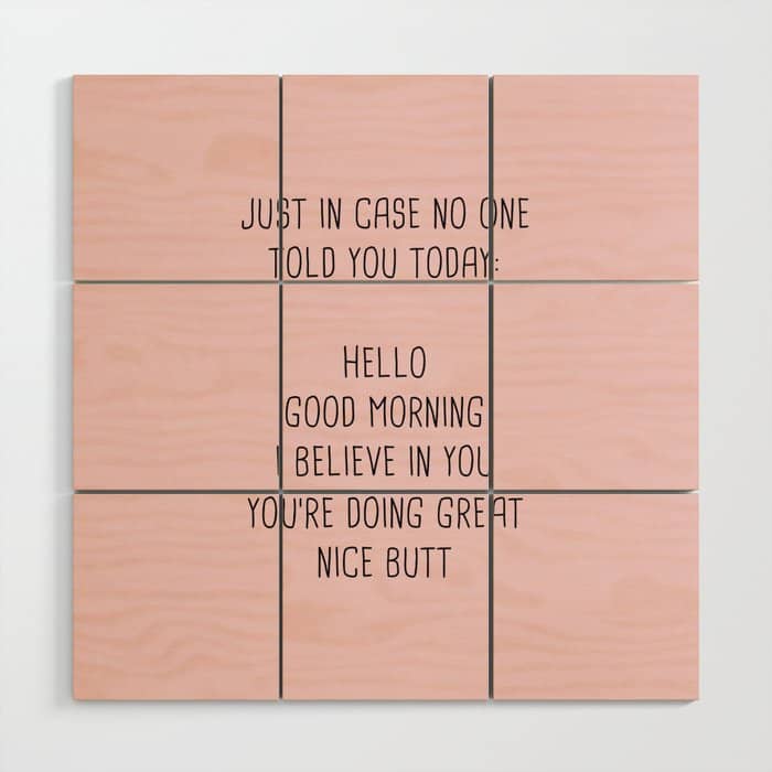 Just In Case No One Told You Today: Hello Wood Wall Art