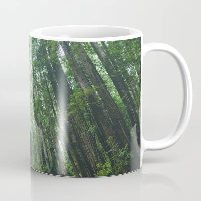 Redwood Forest Adventure Iv - National Parks Nature Photography Coffee Mug