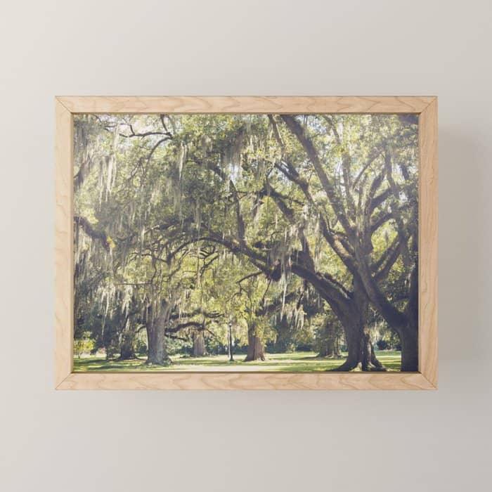 Audubon Park - New Orleans Mini Art Print