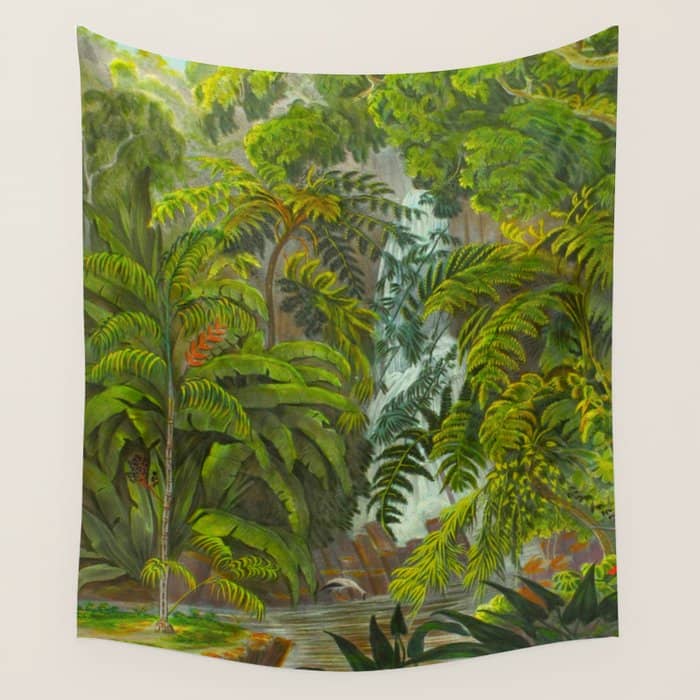 Historia Naturalis Palmarum - Carl Friedrich Philipp Von Martius - C.1836-1850 Wall Tapestry