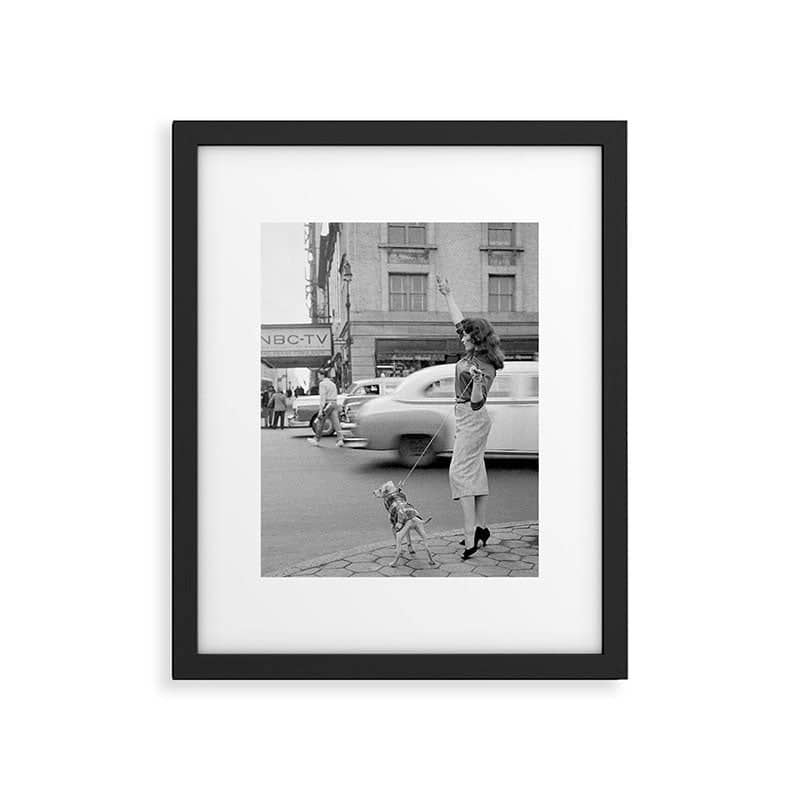 Young Woman With Pet Dog Hailing A Yellow Cab Taxi New York City Portrait Black And White Photograph - Photography - Photographs Framed Art Print