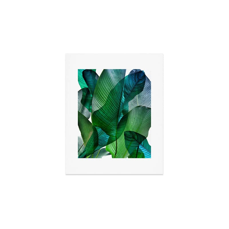 Palm Leaf Jungle Bali Banana Palm Frond Greens Art Print