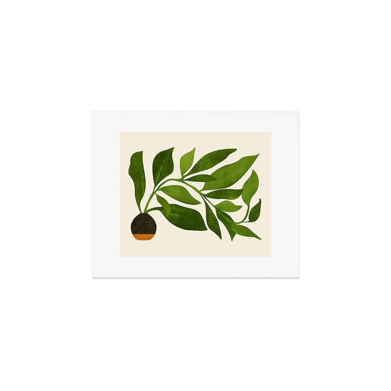 The Wanderer - House Plant Illustration Art Print