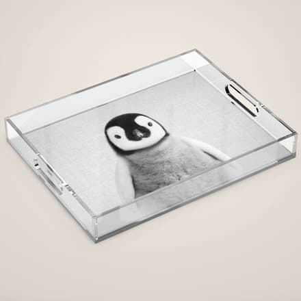 Baby Penguin - Black & White Acrylic Tray
