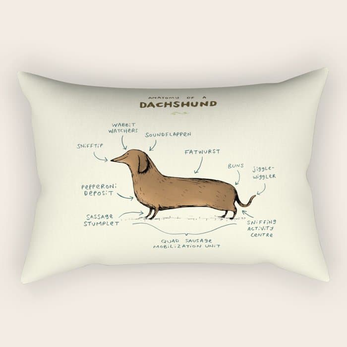 Anatomy of a Dachshund Rectangular Pillow