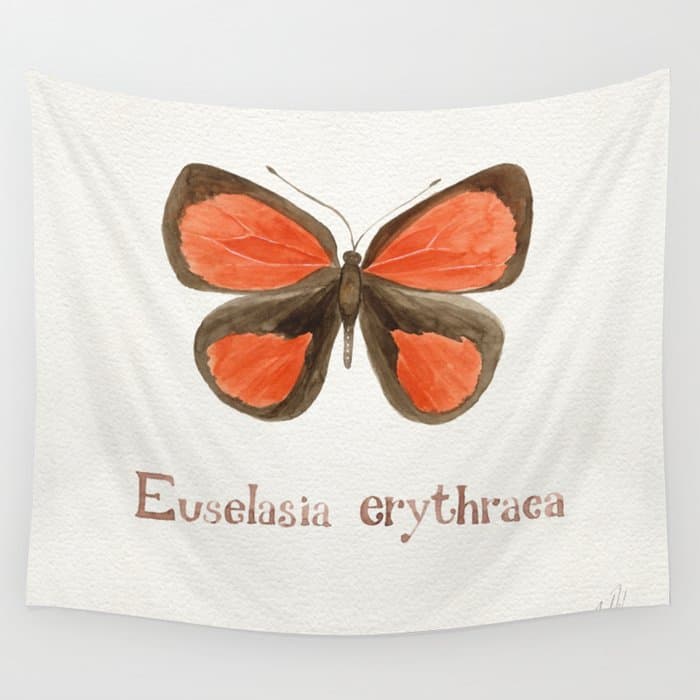 Butterfly - Euselasia erythraea Wall Tapestry
