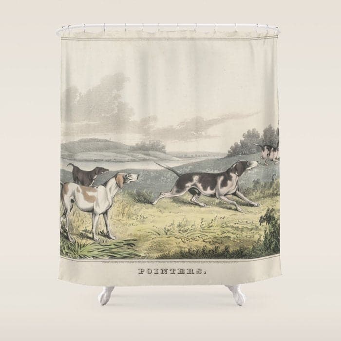Vintage Illustration of Pointer Dogs (1846) Shower Curtain