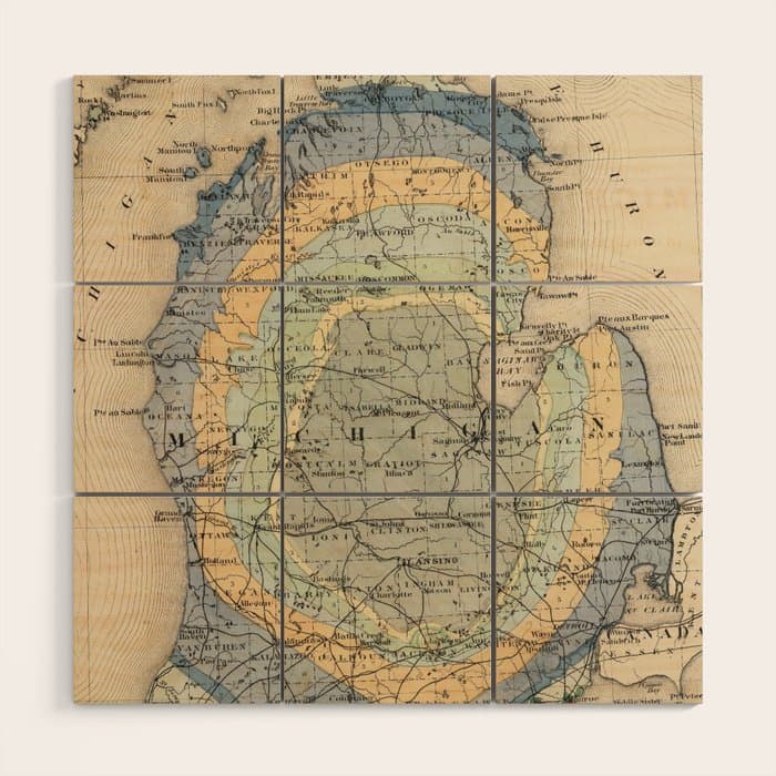 Vintage Michigan Geology Map (1873) Wood Wall Art