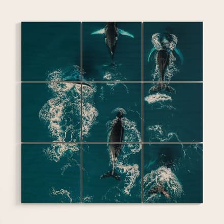 Humpback Whales In The Arctic Wood Wall Art