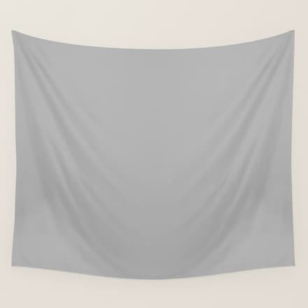 Light Gray Solid. Silver Minimalism Wall Tapestry