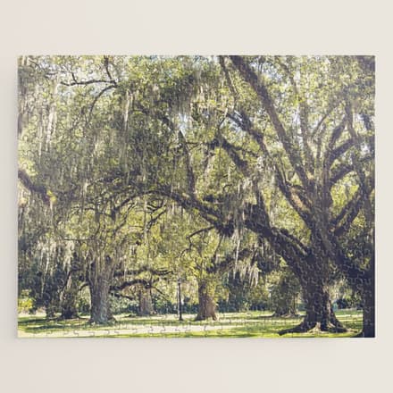 Audubon Park - New Orleans Jigsaw Puzzle