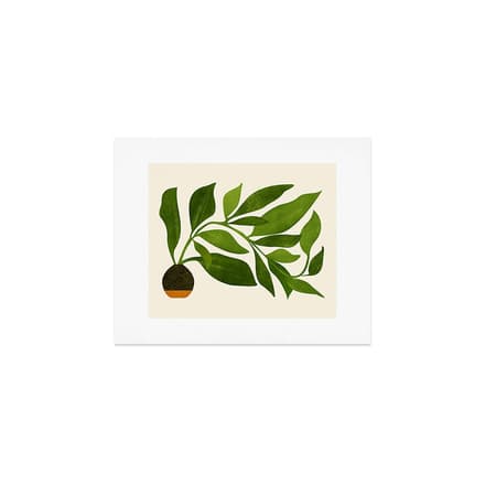 The Wanderer - House Plant Illustration Art Print