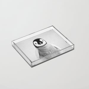 thumb-1