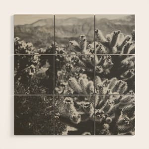 thumb-1