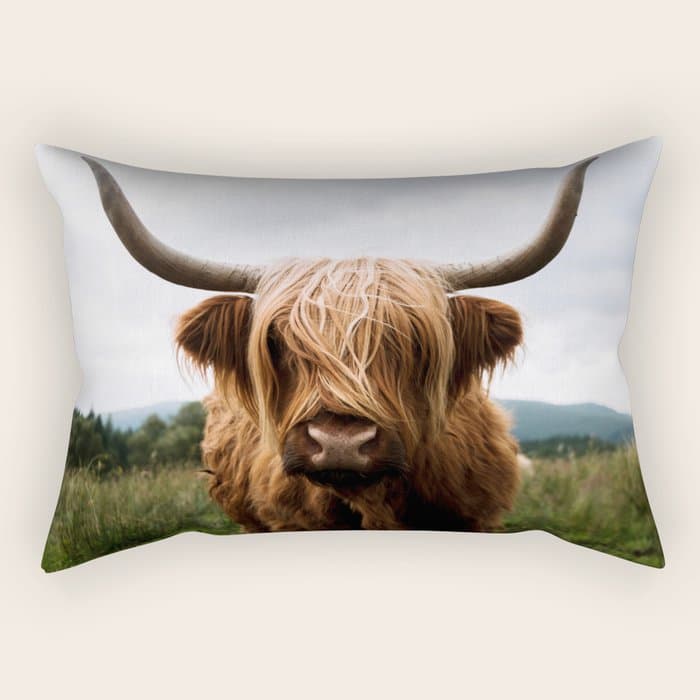 Scottish Highland Cattle Portrait Rectangular Pillow