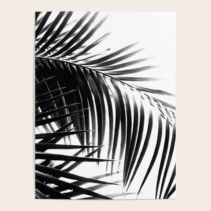 Palm Leaves Black & White Vibes #3 #tropical #decor #art #HomeStorie Poster