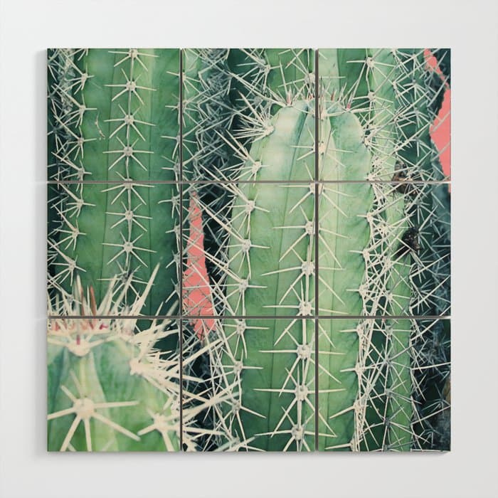 Cactus Up Close #HomeStorie #decor #buyart Wood Wall Art
