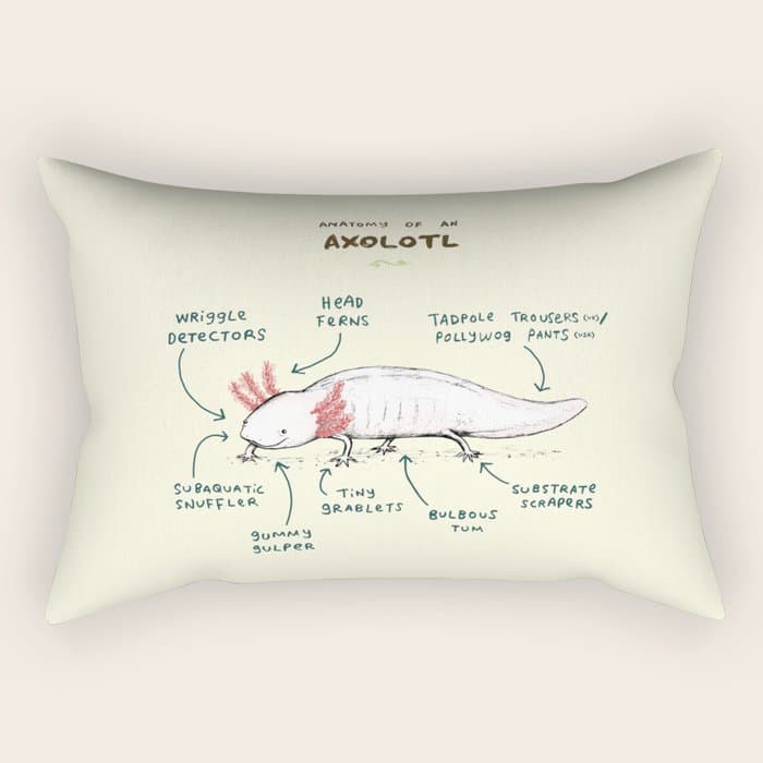Anatomy of an Axolotl Rectangular Pillow