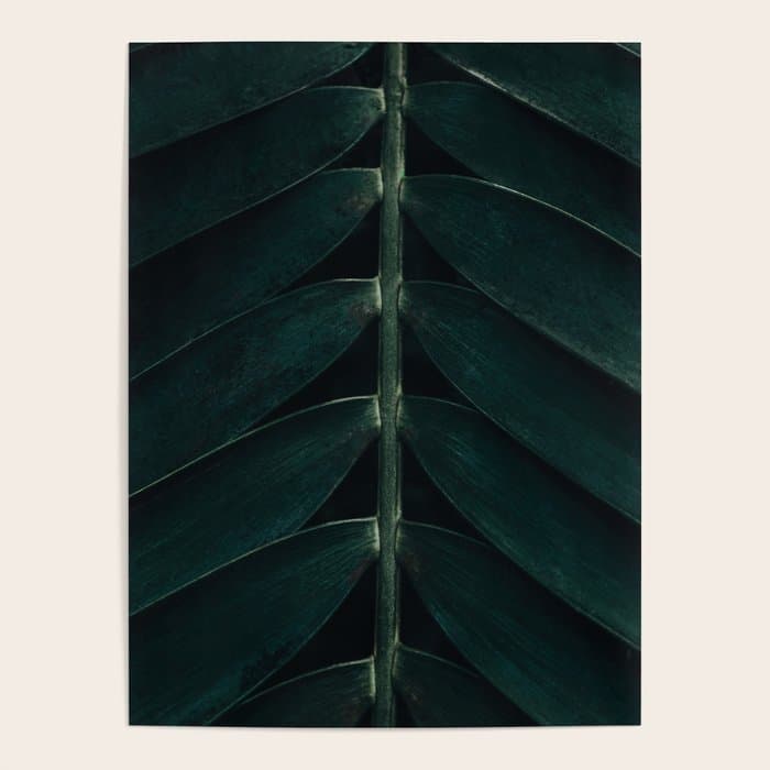 Green Leaves - Nature Photography Poster