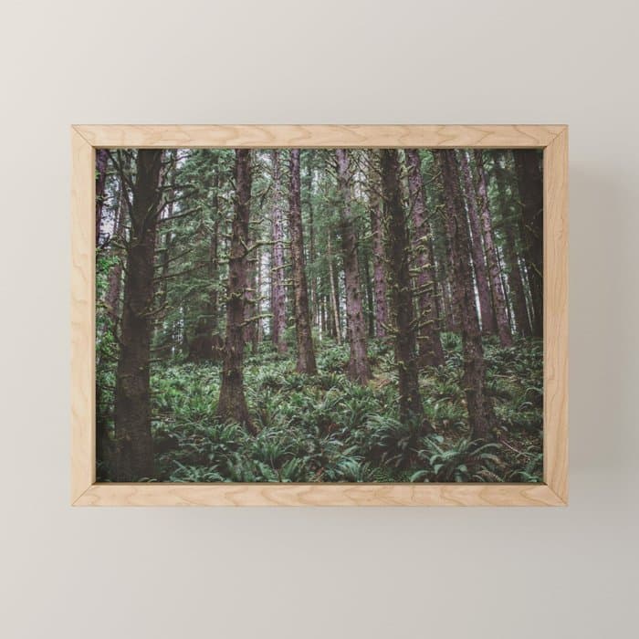 Forest Dark, Forest Deep III Mini Art Print