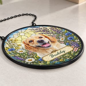 Personalized Pet Memorial Suncatcher Custom Dog Cat Name, Stained Glass Dog Cat Portrait, Pawprint Keepsake, Memorial Gift for Dog & Cat Lovers