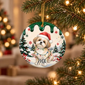 A Little Portrait From a Christmas Story Personalized Ornament, Custom Photo & Name, Snowy Winter Keepsake, Family Holiday Gift