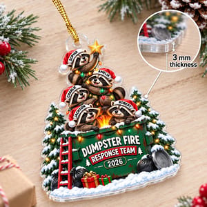 Custom Raccoon Family Christmas Ornament Personalized Names and Year Dumpster Fire Christmas Gift