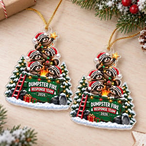 Custom Raccoon Family Christmas Ornament Personalized Names and Year Dumpster Fire Christmas Gift