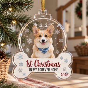 1st Christmas Dog Cat - Personalized Acrylic Photo Ornament
