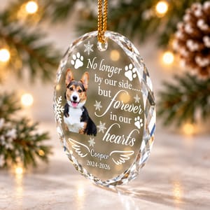 Personalized Dog Memorial Glass Christmas Ornament - Custom Pet Portrait, No Longer by Our Side Sympathy