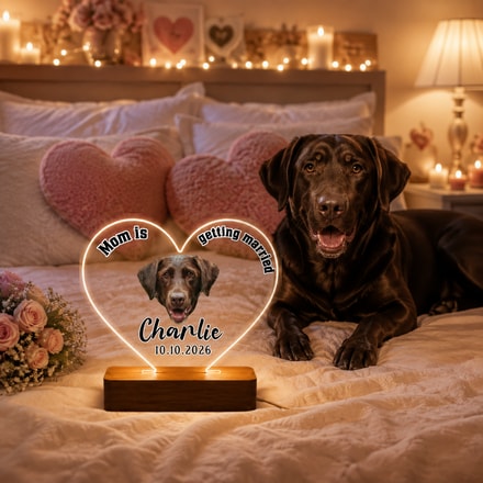 Custom Pet Photo "Mom Is Getting Married" Acrylic Light Lamp - Personalized Led Night Light