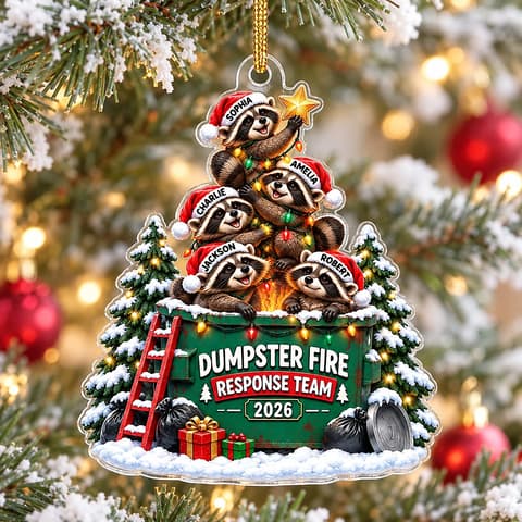 Custom Raccoon Family Christmas Ornament Personalized Names And Year Dumpster Fire Christmas Gift